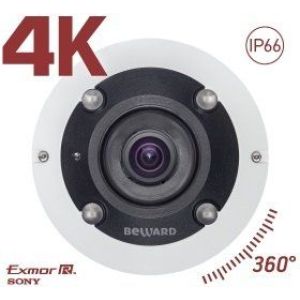 BD3990FLM Видеокамера IP панорамная