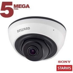 SV3212DR (2,8 мм) Видеокамера IP купольная