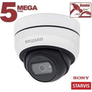 SV3210DB (3,6 мм) Видеокамера IP купольная