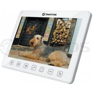 Sherlock (VZ или XL)