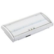Светильник аварийный ДПА 5040-3 3ч IP54 LIGHTING (LDPA0-5040-3H-K01) Светильник аварийный постоянного действия
