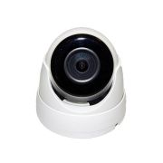 CO-RD51P Видеокамера IP купольная