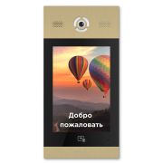 AA-14FB GOLD Вызывная панель подъездного IP-домофона