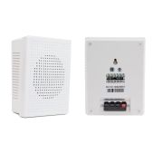 PA-10 Громкоговоритель настенный