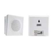 PA-12 (MKV) Громкоговоритель настенный