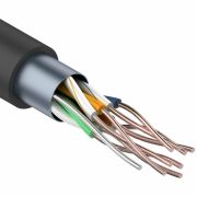F/UTP, CAT 5e, PE, 4PR, 24AWG, OUTDOOR, SOLID, черный, 305м REXANT (01-0146-1) Кабель «витая пара» (LAN) для структурированных систем связи