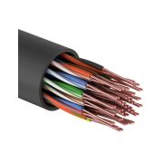 U/UTP, CAT 5, PE, 25PR, 24AWG, OUTDOOR, SOLID, черный, 305м, REXANT (01-1122) Кабель «витая пара»