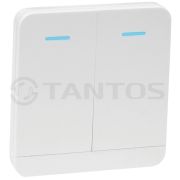 TSt-100HK