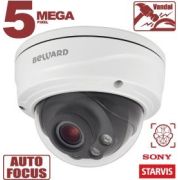 SV3218DVZ Видеокамера IP купольная
