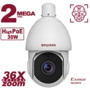 SV2217-R36 Видеокамера IP поворотная