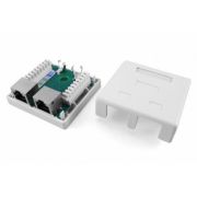 SB1-2-8P8C-C5e-SH-WH Розетка RJ-45
