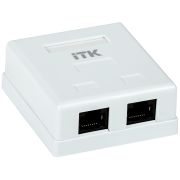 CS2-1C6U-22 Настенная розетка RJ45