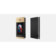 Вызывная панель IP-домофона BAS-IP AA-14FB GOLD
