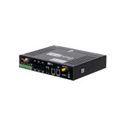 Устройство NetPing 4/PWR-220 v8.2/GSM3G (Разъём Schuko)