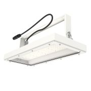 Молния 48W