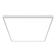 Федерация 50W 595