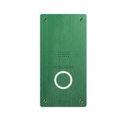 AV-04AFDI GREEN Вызывная панель IP-домофона